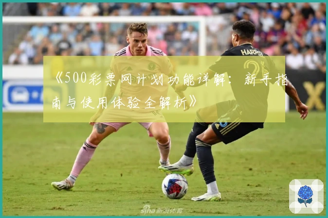 《500彩票网计划功能详解：新手指南与使用体验全解析》