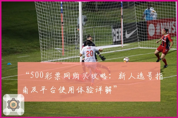 “500彩票网购买攻略：新人选号指南及平台使用体验详解”