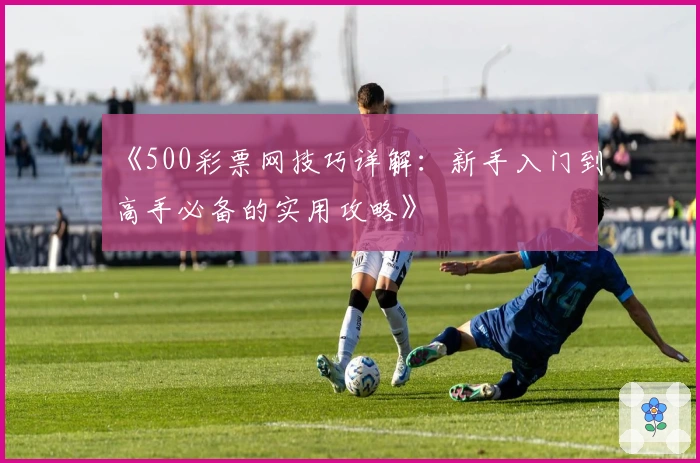 《500彩票网技巧详解：新手入门到高手必备的实用攻略》