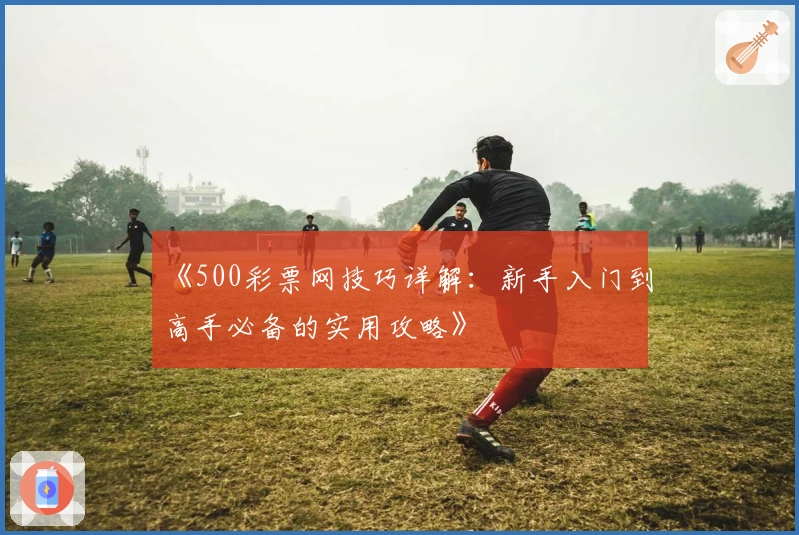 《500彩票网技巧详解：新手入门到高手必备的实用攻略》