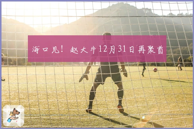 海口见！赵大牛12月31日再聚首