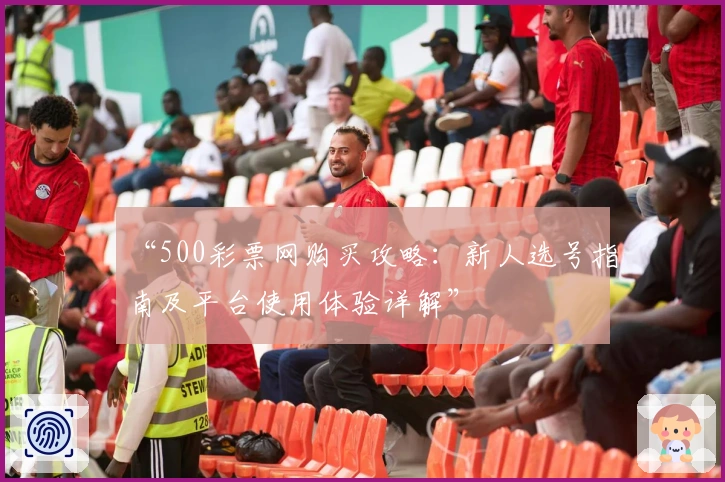 “500彩票网购买攻略：新人选号指南及平台使用体验详解”